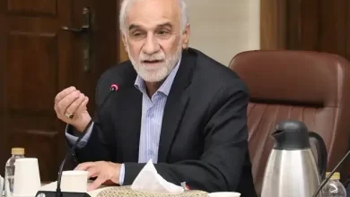 صنعت ماده اولیه در راستای اقتصاد مقاومتی است